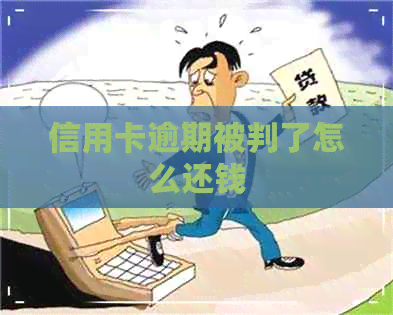 信用卡逾期被判了怎么还钱