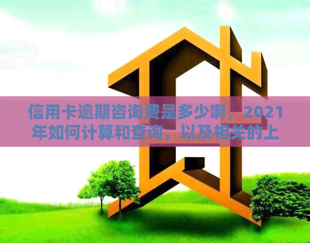 信用卡逾期咨询费是多少啊，2021年如何计算和查询，以及相关的上门费用。