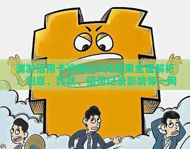 浦发信用卡逾期650元后果全面解析：利息、罚款、信用记录影响等一网打尽！