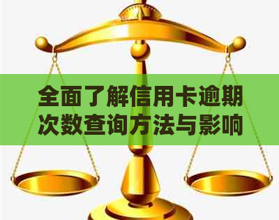 全面了解信用卡逾期次数查询方法与影响，助您避免信用危机