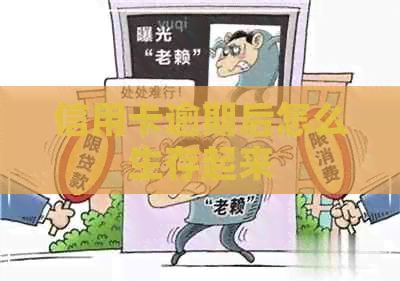 信用卡逾期后怎么生存起来