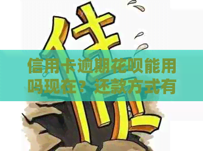 信用卡逾期花呗能用吗现在？还款方式有哪些？