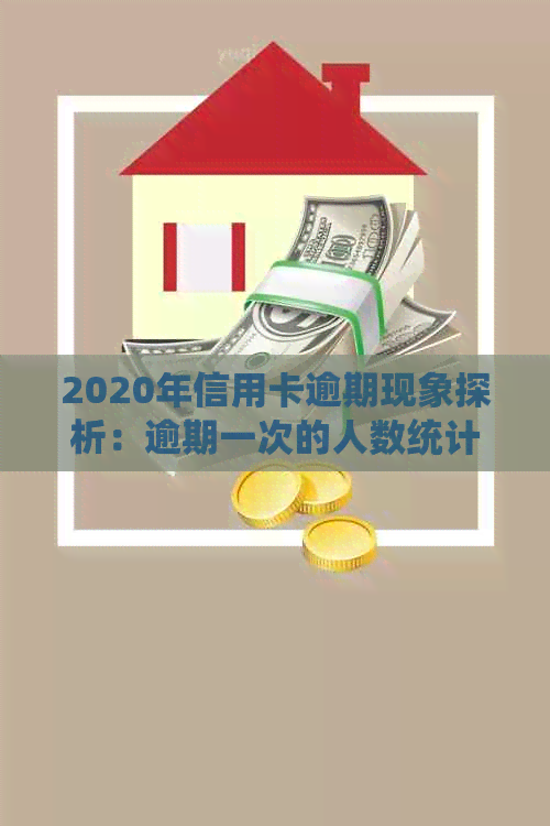 2020年信用卡逾期现象探析：逾期一次的人数统计与影响分析