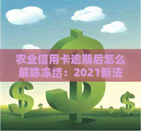 农业信用卡逾期后怎么解除冻结：2021新法规解读，逾期30多天还清是否能用？