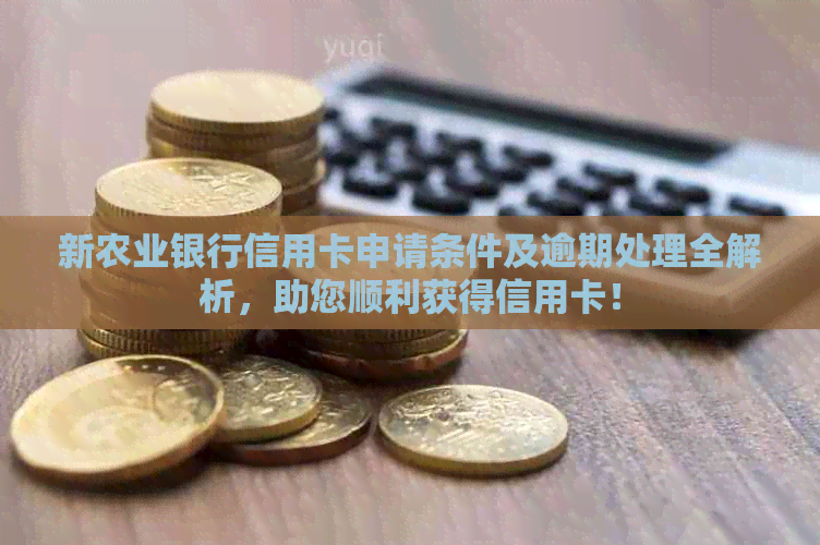 新农业银行信用卡申请条件及逾期处理全解析，助您顺利获得信用卡！