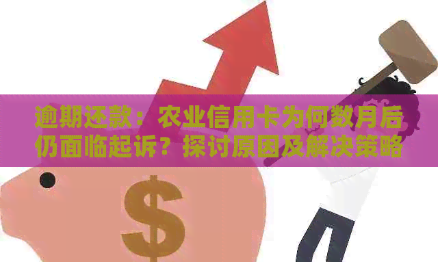 逾期还款：农业信用卡为何数月后仍面临起诉？探讨原因及解决策略