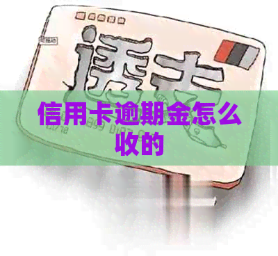 信用卡逾期金怎么收的