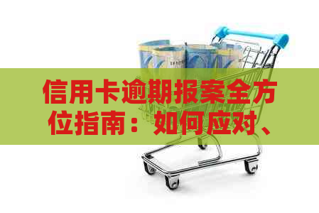 信用卡逾期报案全方位指南：如何应对、报案流程及注意事项