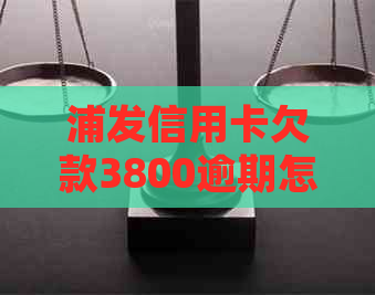 浦发信用卡欠款3800逾期怎么办，如何规划还款计划？