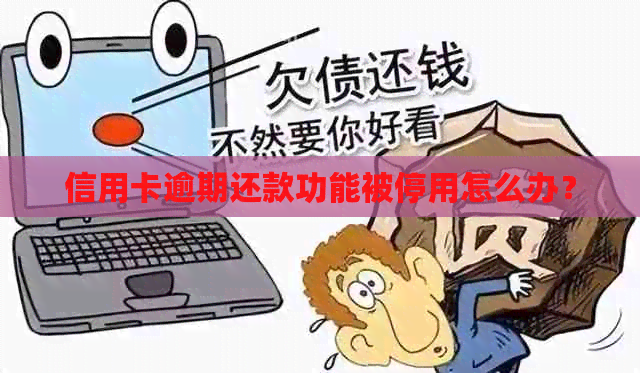 信用卡逾期还款功能被停用怎么办？