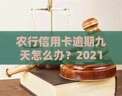 农行信用卡逾期九天怎么办？2021年新法规如何应对？