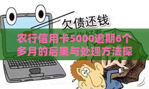 农行信用卡5000逾期6个多月的后果与处理方法探讨