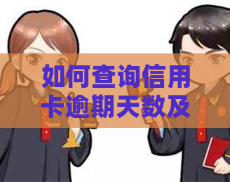 如何查询信用卡逾期天数及其相关记录