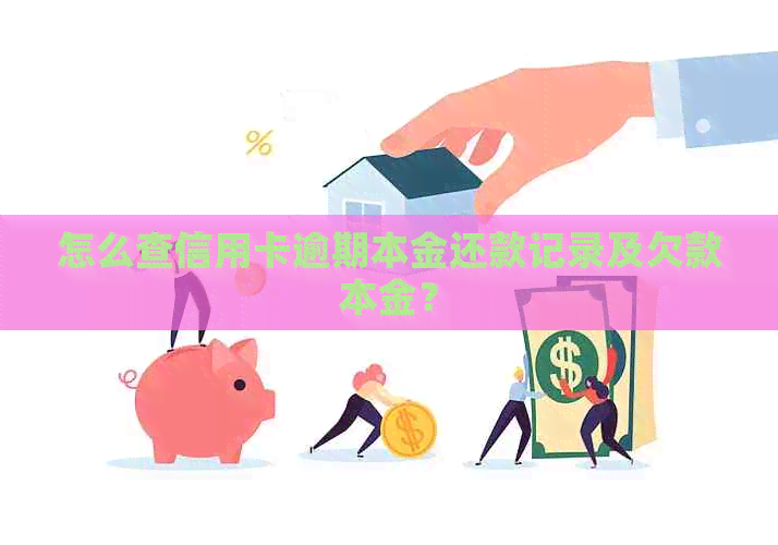 怎么查信用卡逾期本金还款记录及欠款本金？