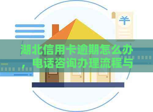 湖北信用卡逾期怎么办，电话咨询办理流程与方式