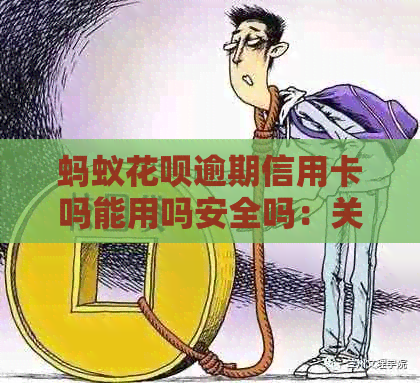 蚂蚁花呗逾期信用卡吗能用吗安全吗：关于逾期后花呗与信用卡的使用问题解答