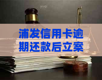 浦发信用卡逾期还款后立案怎么办？如何处理？