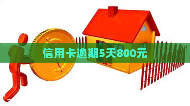 信用卡逾期5天800元