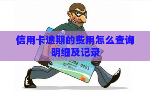 信用卡逾期的费用怎么查询明细及记录