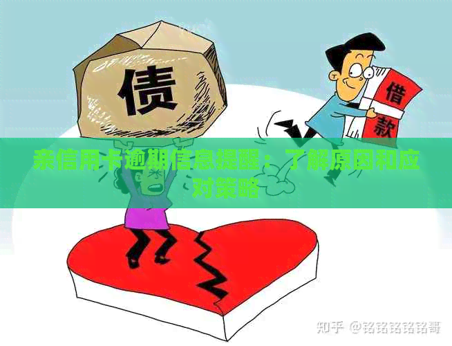 亲信用卡逾期信息提醒：了解原因和应对策略