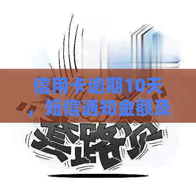 信用卡逾期10天，短信通知金额及频率全解析：了解您的信用状况和应对策略