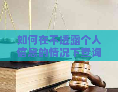 如何在不透露个人信息的情况下查询家属信用卡欠款额度？