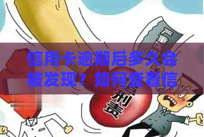 信用卡逾期后多久会被发现？如何查看信用报告中的逾期记录？