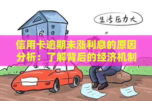 信用卡逾期未涨利息的原因分析：了解背后的经济机制与影响