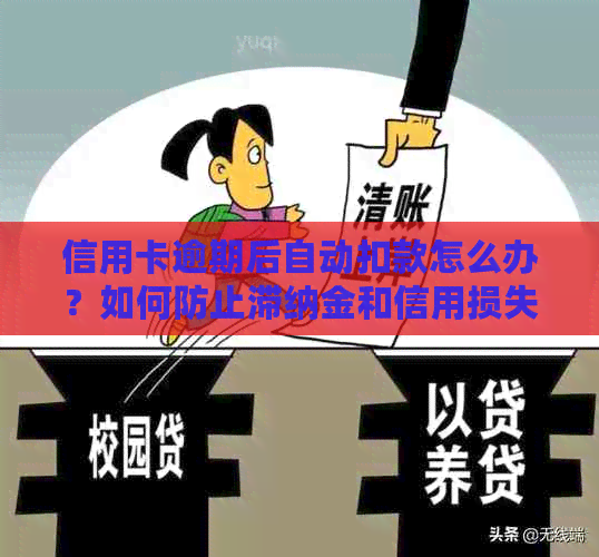 信用卡逾期后自动扣款怎么办？如何防止滞纳金和信用损失？