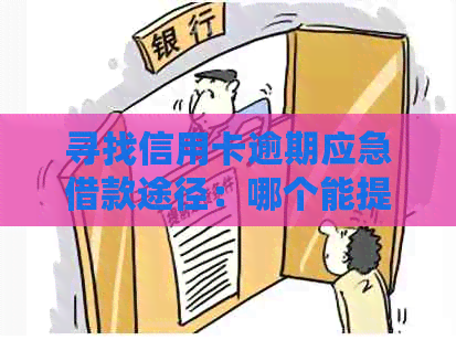 寻找信用卡逾期应急借款途径：哪个能提供帮助？