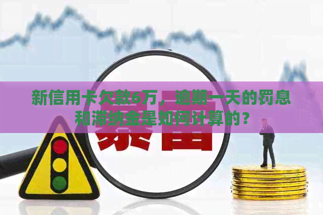 新信用卡欠款6万，逾期一天的罚息和滞纳金是如何计算的？