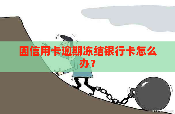 因信用卡逾期冻结银行卡怎么办？