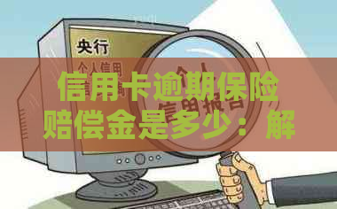 信用卡逾期保险赔偿金是多少：解答与相关规定