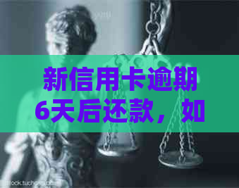 新信用卡逾期6天后还款，如何解决逾期记录并恢复信用？