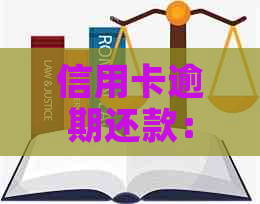 信用卡逾期还款：最理想时间是多少天额度日期？