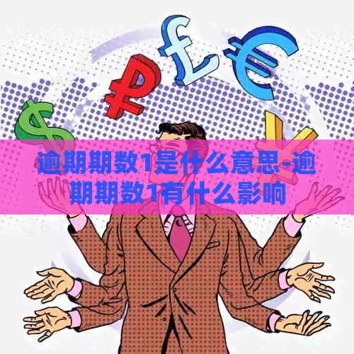 逾期期数1是什么意思-逾期期数1有什么影响