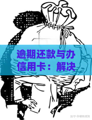 逾期还款与办信用卡：解决逾期困扰及信用建设全攻略