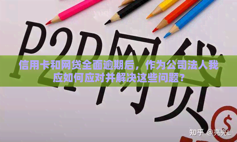 信用卡和网贷全面逾期后，作为公司法人我应如何应对并解决这些问题？