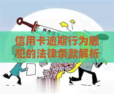 信用卡逾期行为触犯的法律条款解析：详尽解读与预防策略