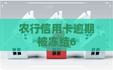 农行信用卡逾期被冻结6