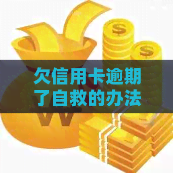 欠信用卡逾期了自救的办法：2024年新政策与银行协商解决