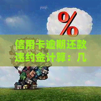 信用卡逾期还款违约金计算：几天逾期与多少罚款全解析