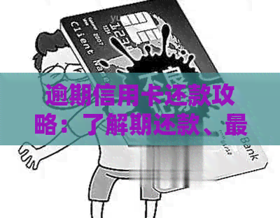 逾期信用卡还款攻略：了解期还款、更低还款和分期付款等选项