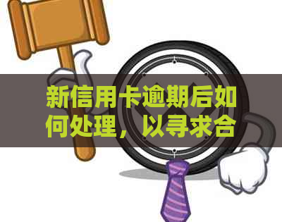 新信用卡逾期后如何处理，以寻求合适的网络贷款方案？