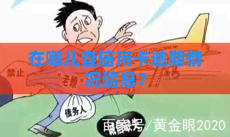 在哪儿查信用卡逾期情况信息？