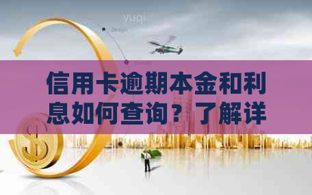 信用卡逾期本金和利息如何查询？了解详细操作指南，避免额外费用！