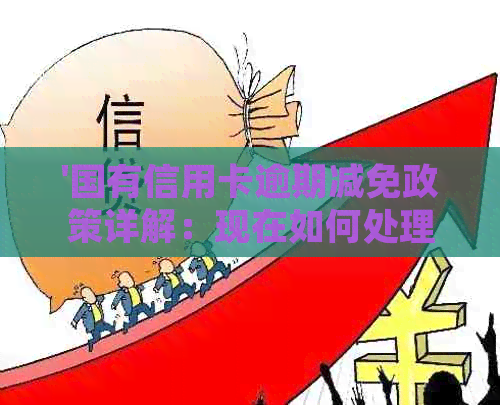 '国有信用卡逾期减免政策详解：现在如何处理？'