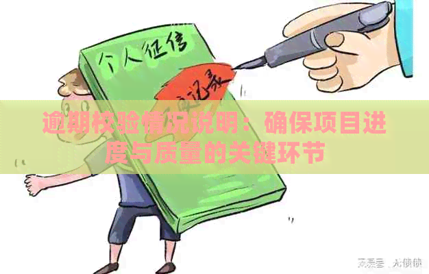 逾期校验情况说明：确保项目进度与质量的关键环节