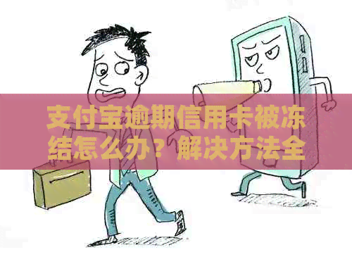 支付宝逾期信用卡被冻结怎么办？解决方法全面解析与建议