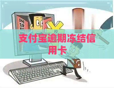 支付宝逾期冻结信用卡